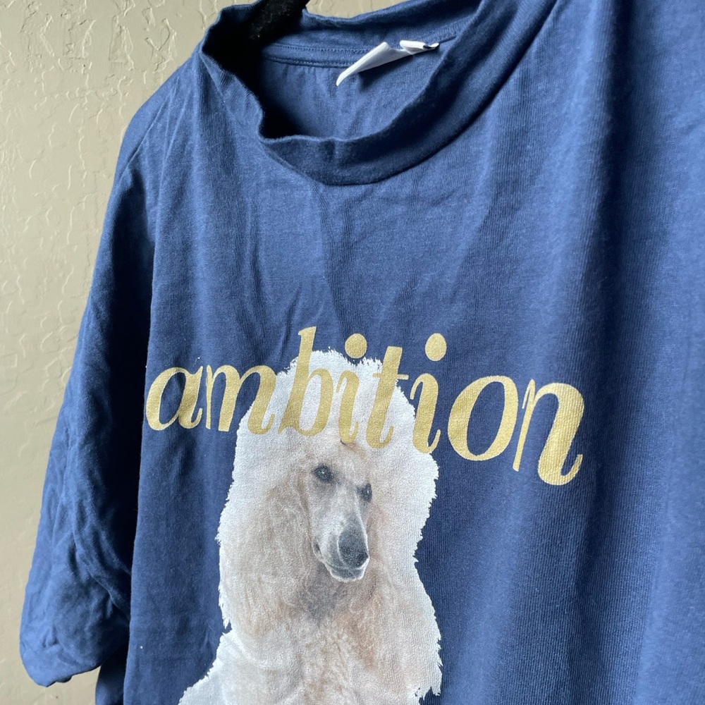 Sisters & Seekers “Ambition” T-Shirt